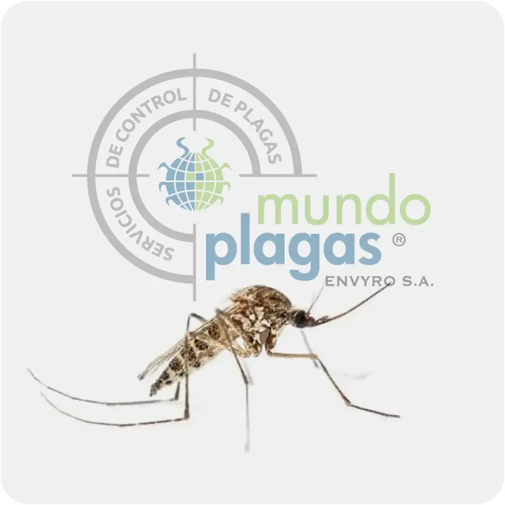 Control Ambiental de Mosquitos