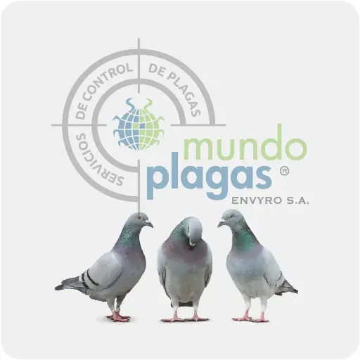 [3000AVREP] Control de Aves con Pinches