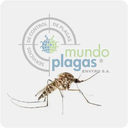 [3000Mosq] Control Ambiental de Mosquitos